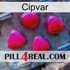 Cipvar 13